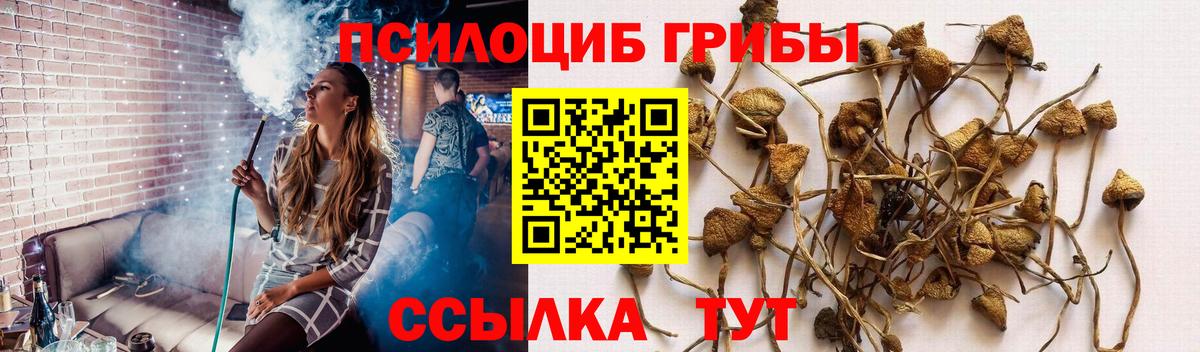 Галлюциногенные грибы GOLDEN TEACHER Шарыпово